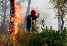 Photo of Фото: юг Франции в огне