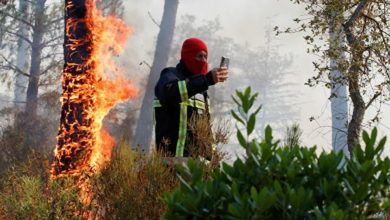 Photo of Фото: юг Франции в огне